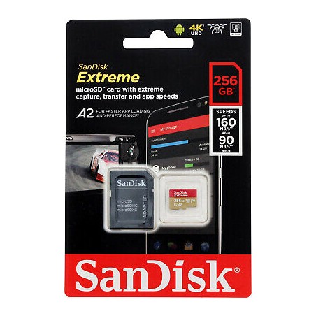 SANDISK MICRO SD EXTREME 256GO R190/W130MBS